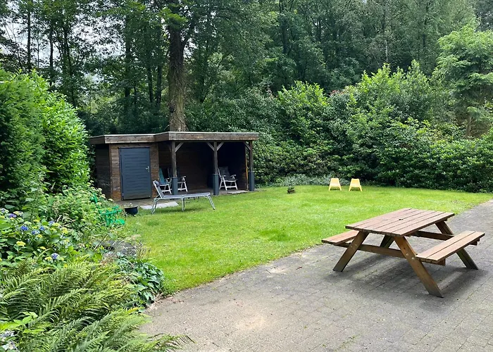 Midden In De * Halle