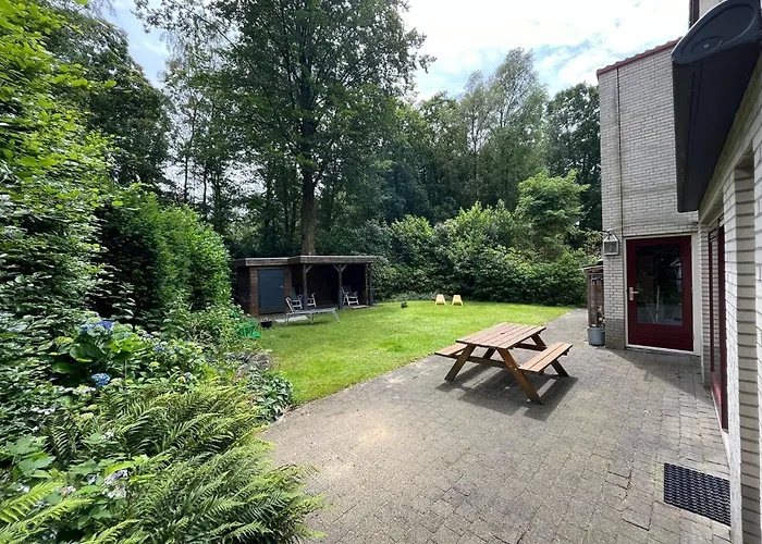 Midden In De * Halle